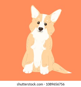 colored background with cute cartoon corgi