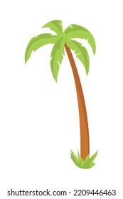 palmera de playa de color sobre blanco