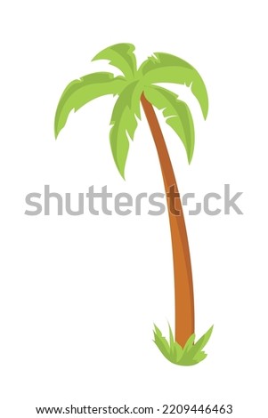 colored beach palm over white