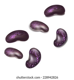 colored beans realistic vector image isolated on white background