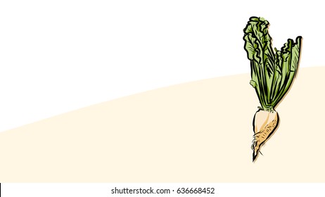 Colored beet sugar Vector Card, Fresh Food Collection, Handdrawn Clean Outline Sketch