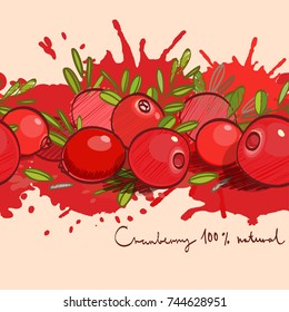 Colored berry with blots of paint. Hand drawn horizontal border with mellow berries. Colored artistic cranberry border isolated on background. Backdrop with transparent objects.