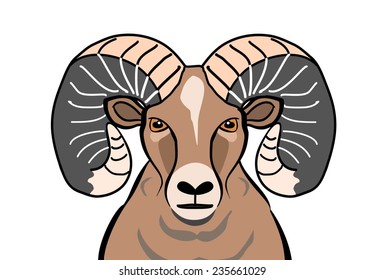 colored Bighorn sheep