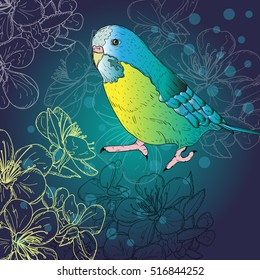 Colored bird with cherry flowers card design