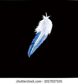 Colored bird feather on a black background close-up. Vector graphics. Material for printing on paper or fabric.
