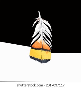 Colored bird feather on a black background close-up. Vector graphics. Material for printing on paper or fabric.