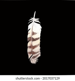 Pluma de pájaro de color sobre un fondo negro de cerca. Gráficos vectoriales. Material para imprimir en papel o tela.