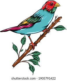The colored of the bird perching on the branch of the tree of illustration
