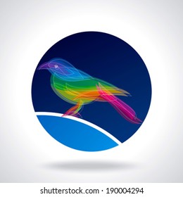 Colored bird in withe background