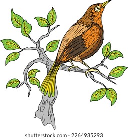 colored birds on a branch tree vector illustration in white background