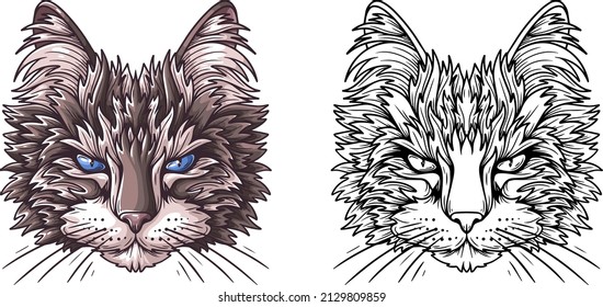 Colored and black and white cat head.