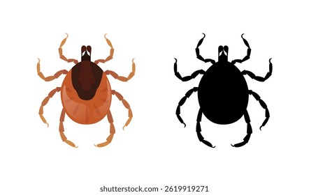Dibujo coloreado y blanco y negro de un ácaro, un parásito peligroso que transmite enfermedades como la enfermedad de Lyme y la encefalitis, útil para fines educativos y médicos
