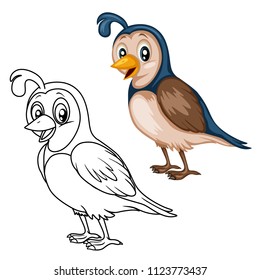 Colored and Black and White Vector Illustration of a Happy Quail. Cute Cartoon Quail Isolated on a White Background Coloring Page. Happy Animals Coloring Book for Children