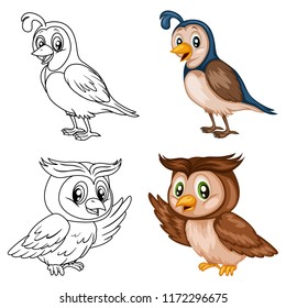 Colored and Black and White Vector Illustration of a Happy Quail and Owl. Cute Cartoon Quail Isolated on a White Background Coloring Page. Happy Animals Coloring Book for Children