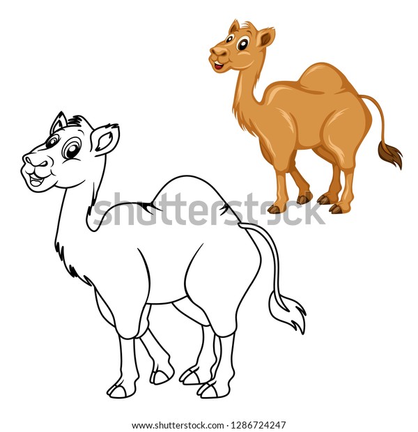 Colored and Black and\
White Vector Illustration of a Happy Camel. Cute Cartoon Camel\
Isolated on a White Background Coloring Page. Happy Animals\
Coloring Book for\
Children