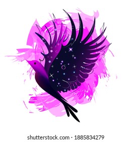 colored blue-pink bird with stars on the wings and on a transparent background