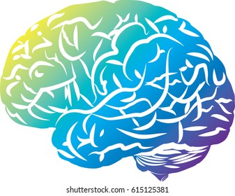 Colored brain, side view, simplified.