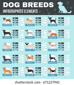 Colored breed dogs infographics with size agility noise and energy points of different breeds vector illustration