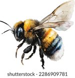 Colored Bumblebee Vector, Print, Illutration