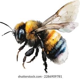 Farbiger Bumblebee-Vektorgrafik, Print, Illustration