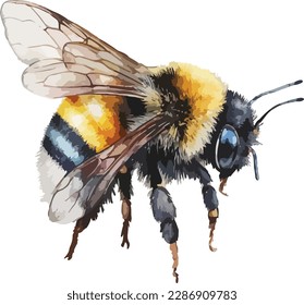Colored Bumblebee Vector, Print, Illutration