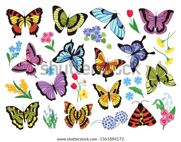 Colored butterflies. Hand\
drawn simple collection of butterflies and flowers isolated on\
white background. Vector graphic collection drawn vintage flying\
insect