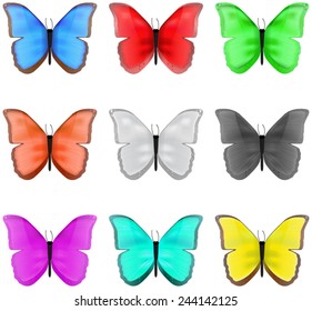 Colored butterflies isolated 