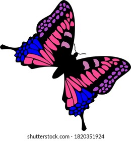 colored butterflies in realistic style 