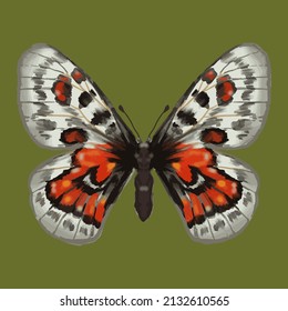 Farbiger Schmetterling. Schönes Insekt - Vektorgrafik