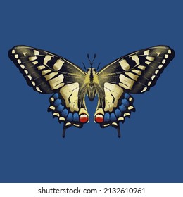 Colored butterfly. Beautiful insect - Vector illustration