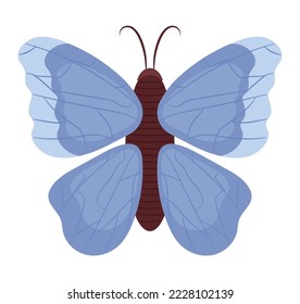 colored butterfly design over white
