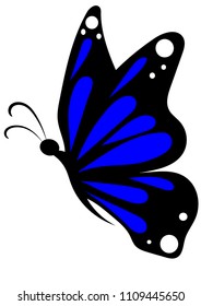 colored butterfly insect vector