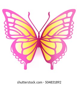 Colored butterfly logo, vector illustration isolated on background