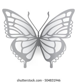Colored butterfly logo, vector illustration isolated on background