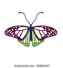 Colored butterfly logo, vector illustration isolated on background