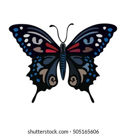 Colored butterfly logo, vector illustration isolated on background