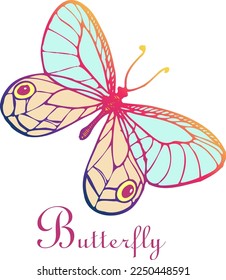 colored butterfly in the style of line graphics with the inscription.Colorful insect.