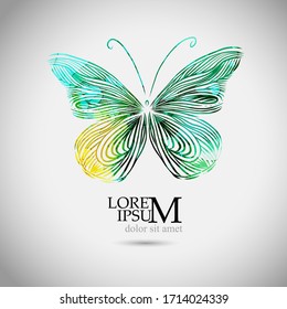 A colored butterfly. Vector illustration