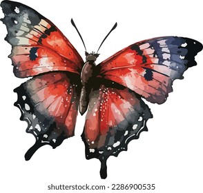 Colored Butterfly Vector, Print, Illustration
