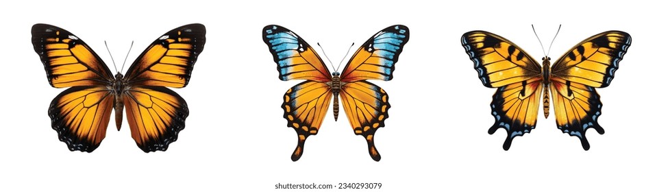 Colored butterfly vector set isolated on white 