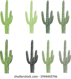 colored cacti set. desert cacti vector pics