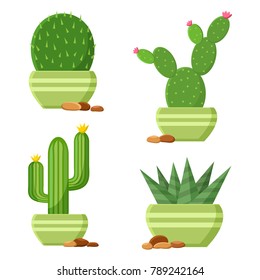 Colored cactus set in flowerpots with pebbles. Flowering cactus. Cartoon houseplants. Vector illustration