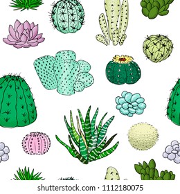 Colored cactuses seamless pattern, hand drawn vector illustration. Succulent collection. n