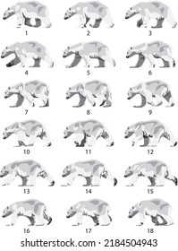 Colored calf polar bear walking steps cycle for animation (vector)