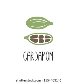 Colored caption cardamom on transparent background. Cozy spice pictogram original design. Vector shabby hand drawn illustration