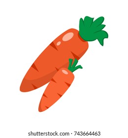 Colored carrot with leaves. Vector illustration
