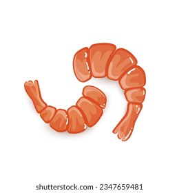 Colored cartoon Cute Shrimp or prawn, sushi vector icon on white background