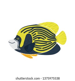 Colored cartoon fish illustration. Flat design sea tropical Emperor angel fish isolated on white background. Vector art