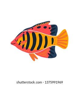 Colored cartoon fish illustration. Flat design sea tropical Centropyge isolated on white background. Vector art 