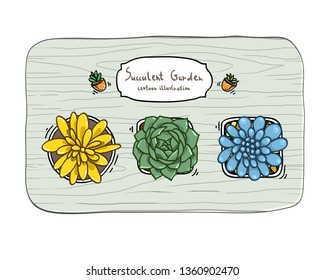 Colored cartoon succulent flowers isolated on white background. Succulent garden on the postcard. Hand drawn decorative illustration. Top view succulents.